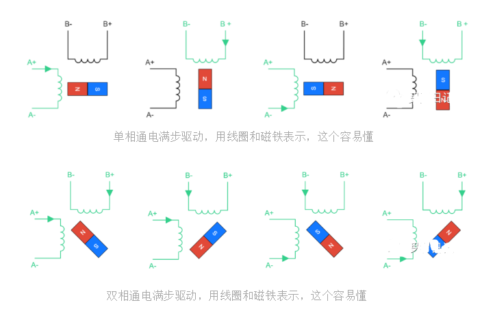 雙相通電滿步驅動，用線圈和磁鐵表示，這個容易懂
