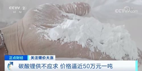 鋰資源瘋狂搶購背后 飼料原料銷售中的供需博弈與市場(chǎng)隱憂