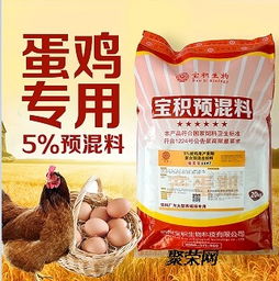 高效蛋雞預(yù)混料 實現(xiàn)雞蛋無腥味與產(chǎn)蛋期延長的科學方案