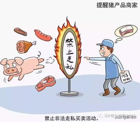 習水豬肉放心購，飼料原料供應穩——解析非洲豬瘟防控下的市場保障